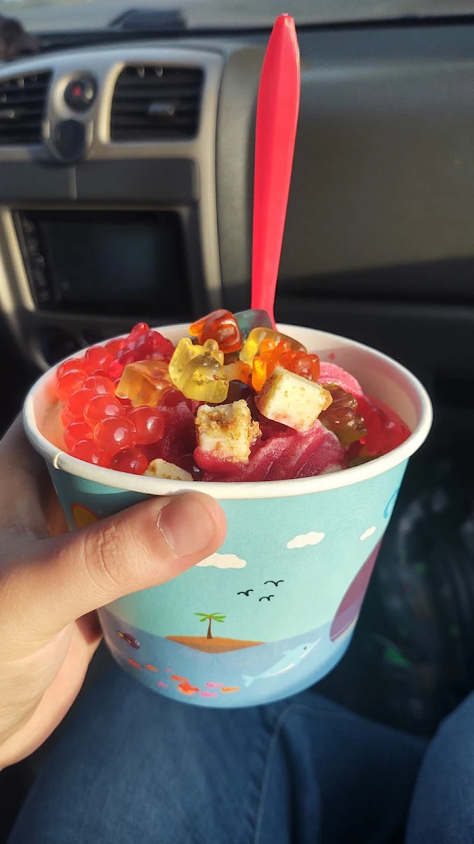 Frozen Yogurt