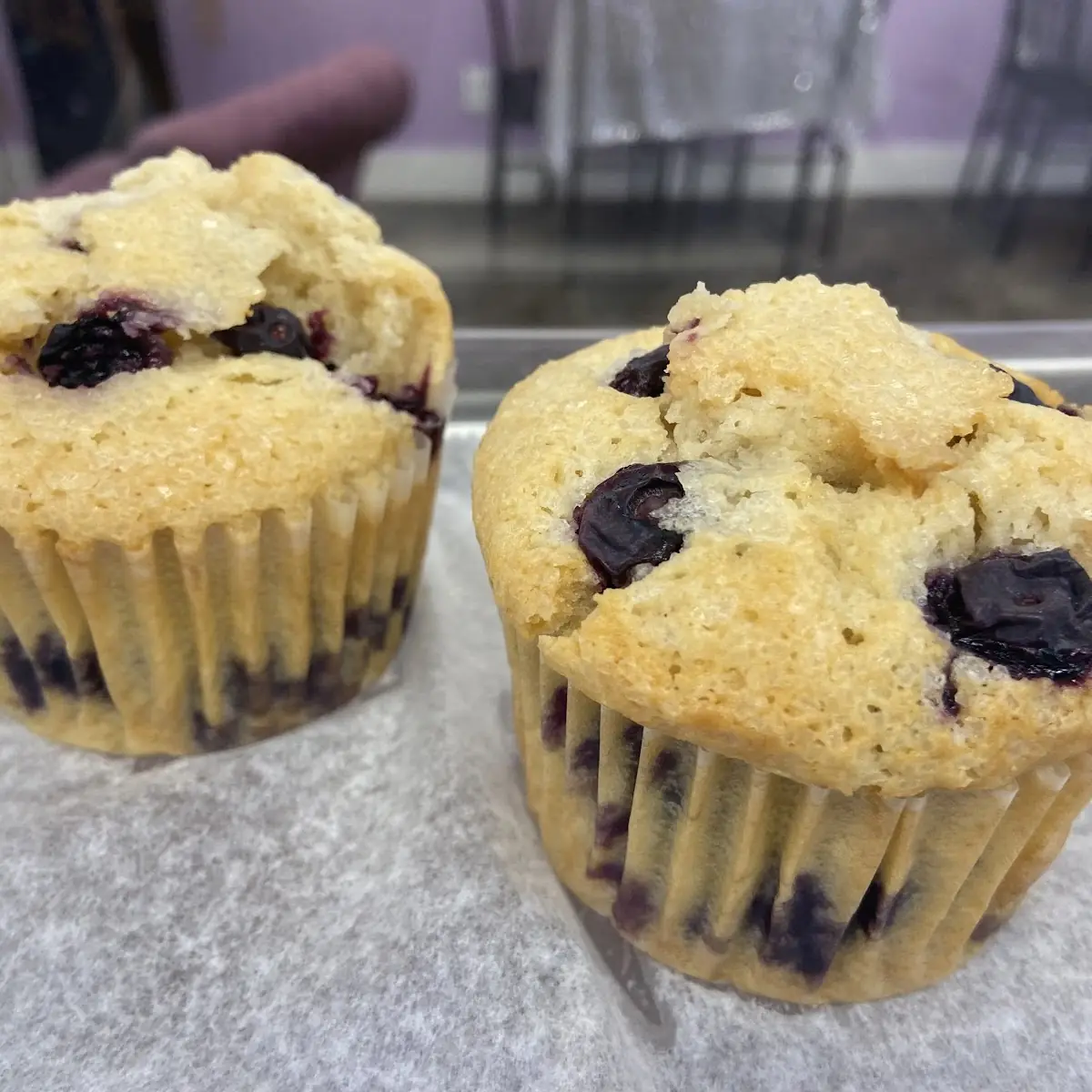 Blueberry Muffin