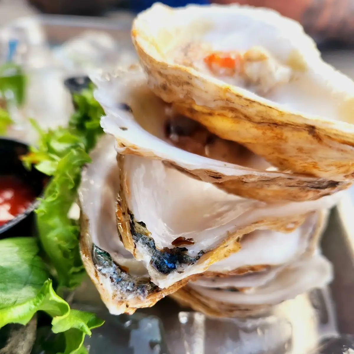 Oysters on the Half Shell