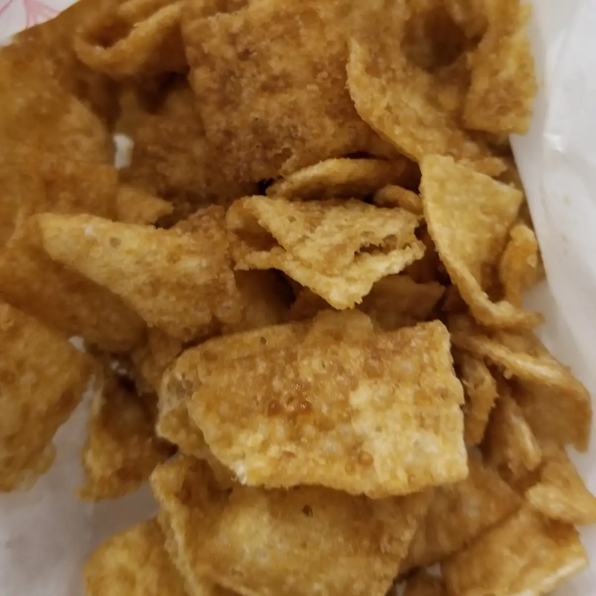 Fried Wonton