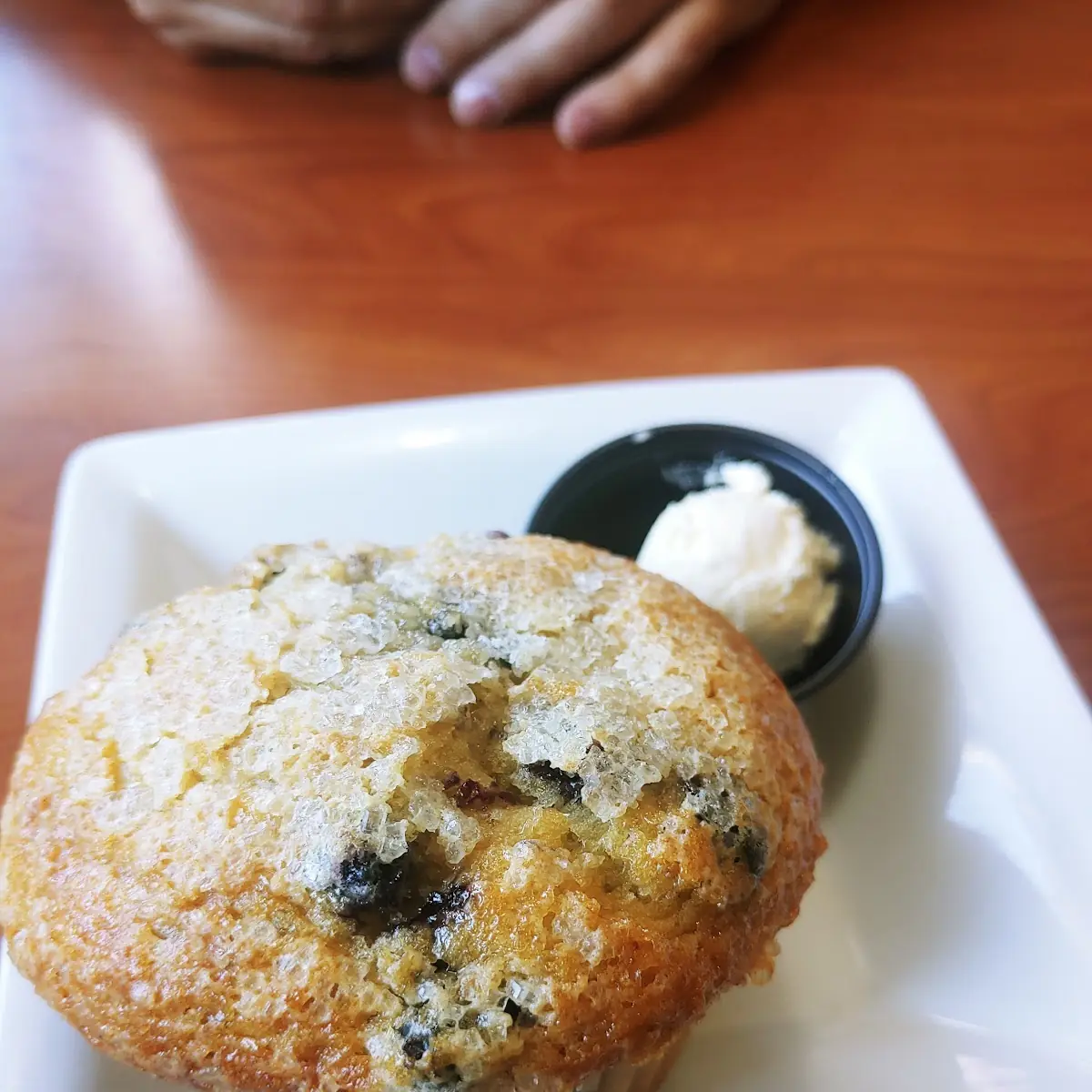 Warm Blueberry Muffin
