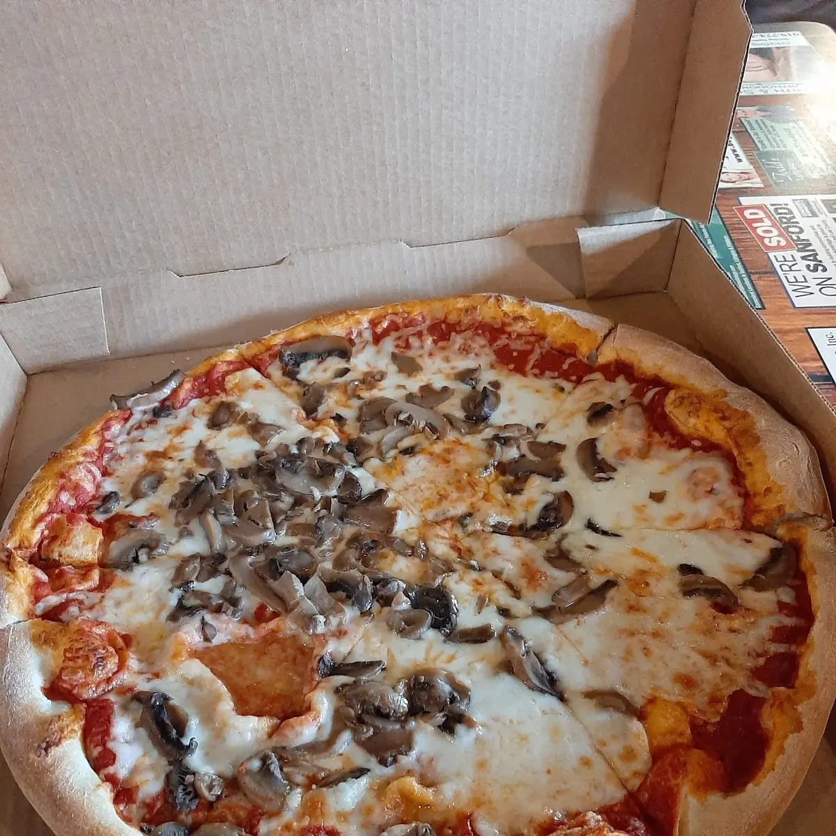 Mushroom Pizza