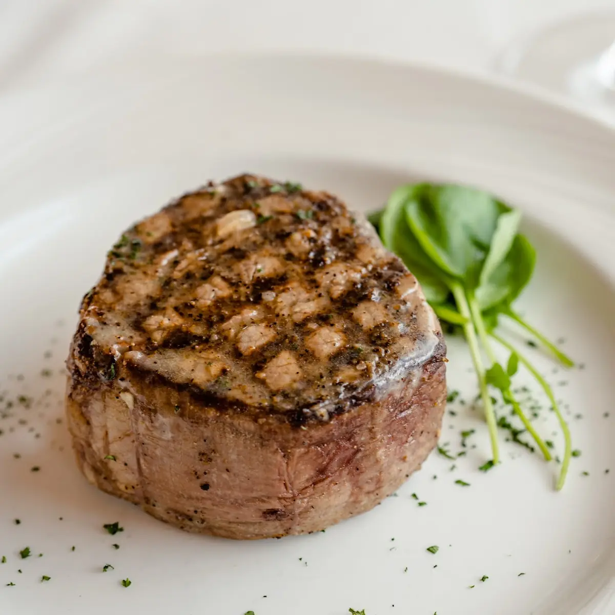 ms9 Filet Mignon