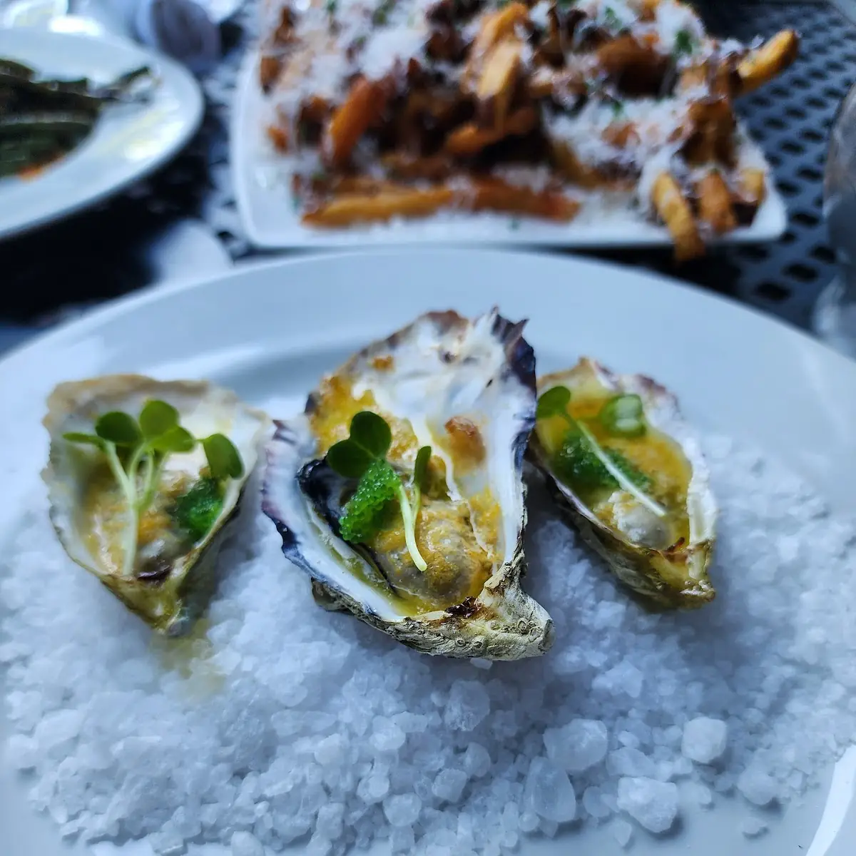 Oysters on the Half Shell