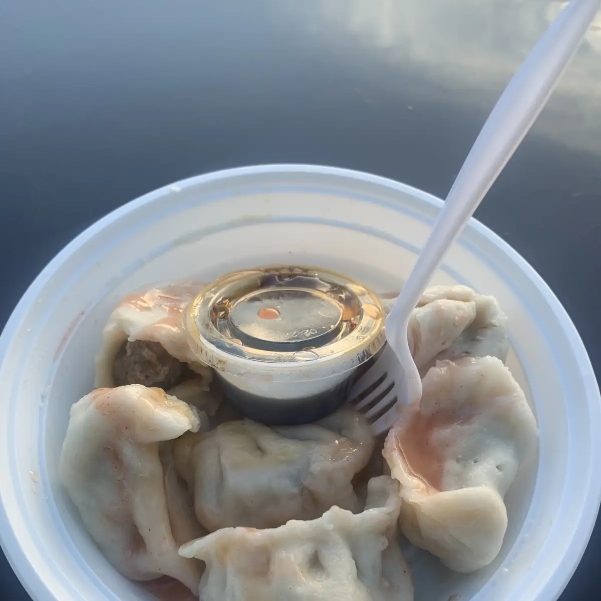 Fried or Steamed Dumplings