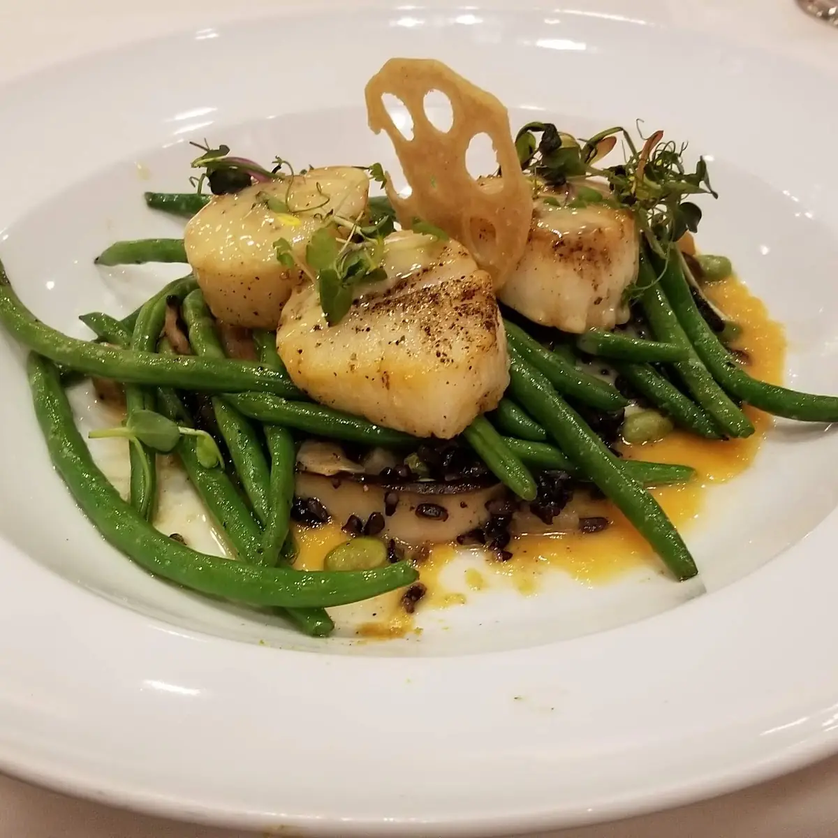 Japanese Sea Scallops