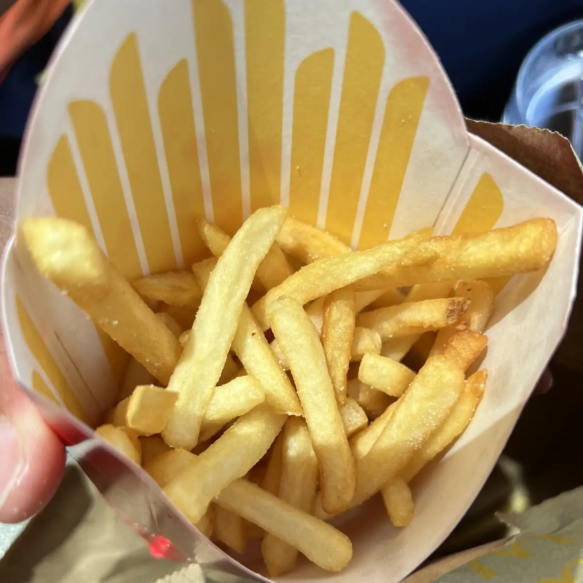World Famous Fries
