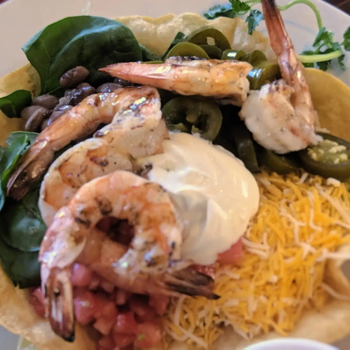 Taco Salad with Shrimp