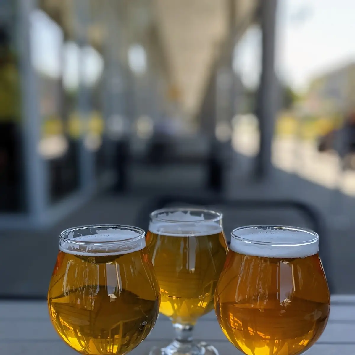 Beer Flight