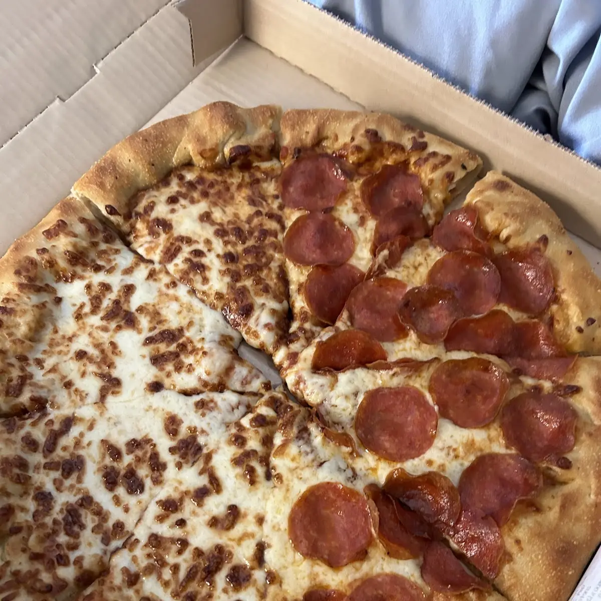 Cheese and Pepperoni Pizza