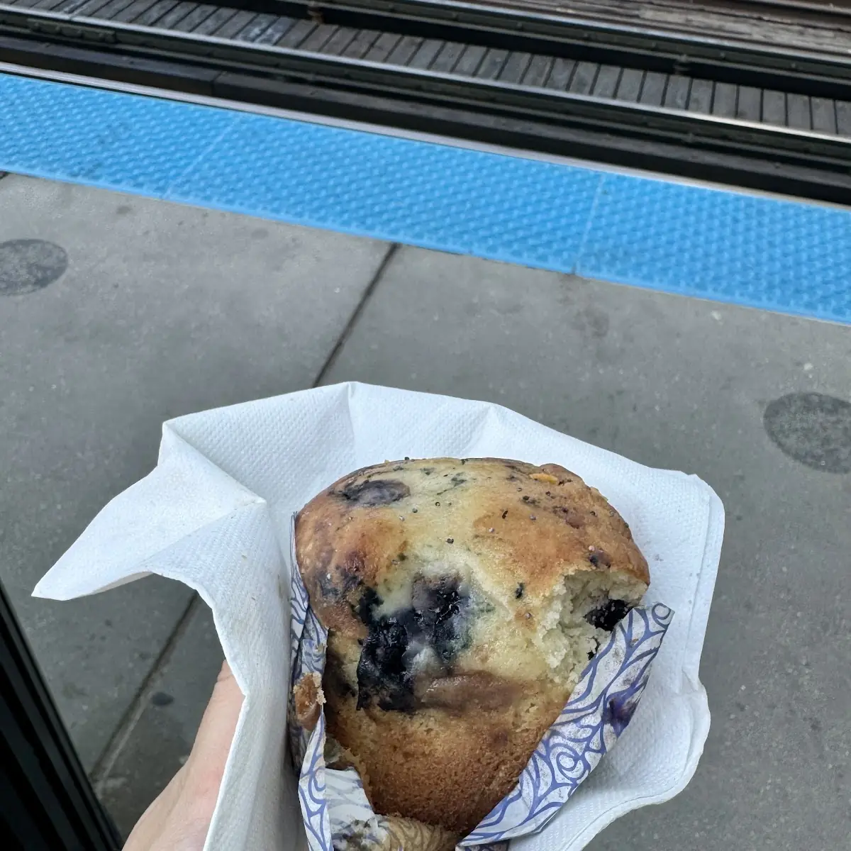 Blueberry Muffin
