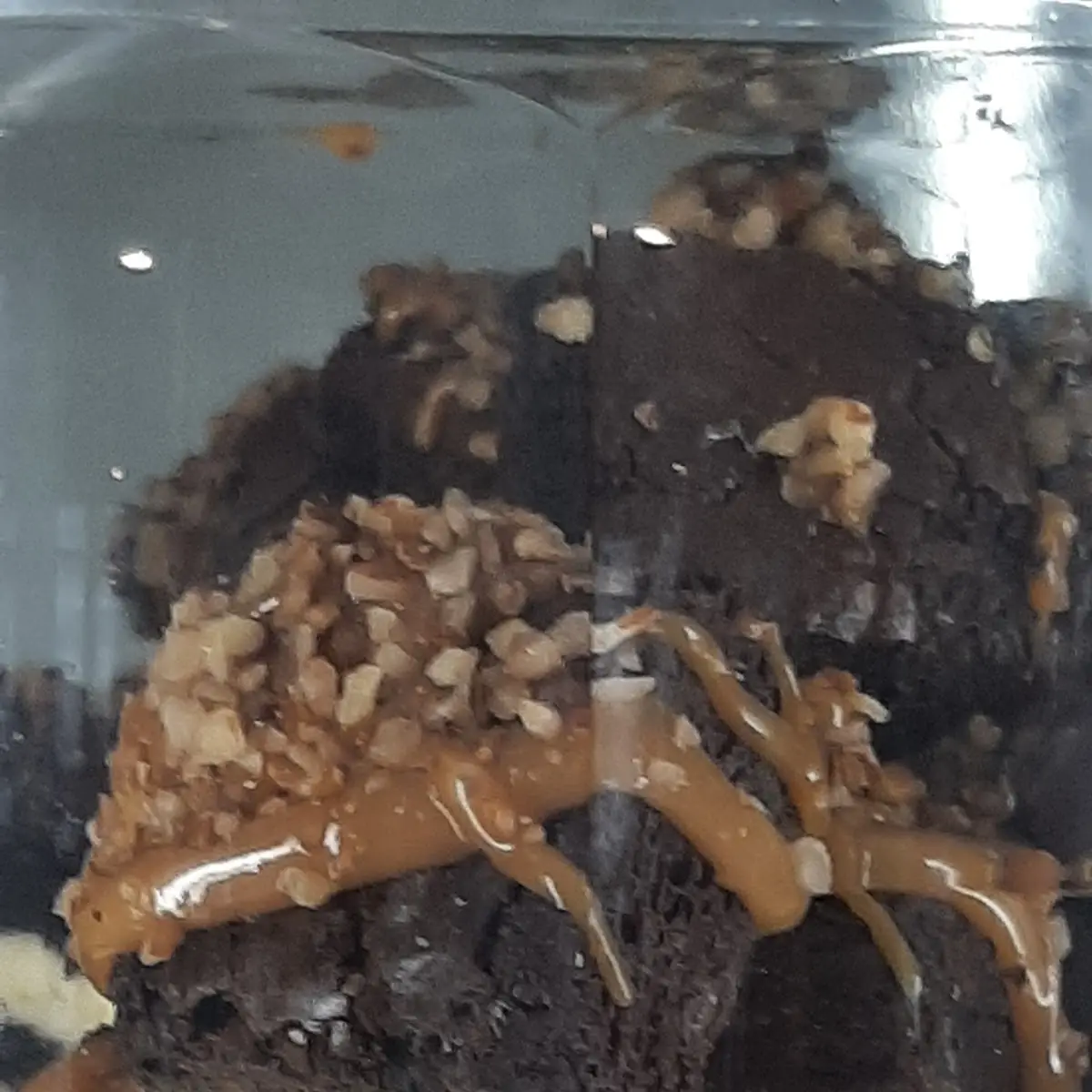 German Chocolate Brownie Cheesecake