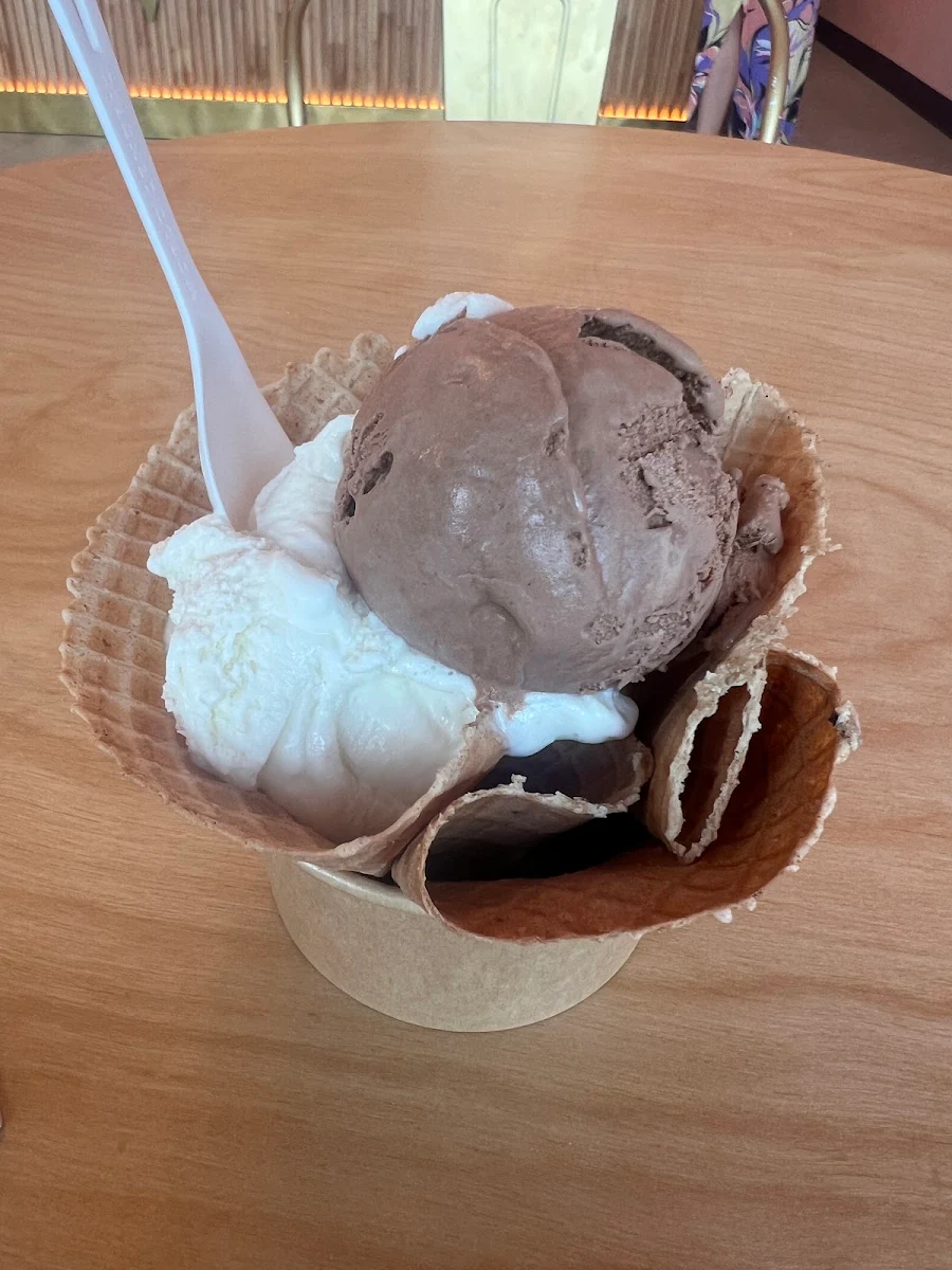 Vegan and Gluten Free Waffle Cone