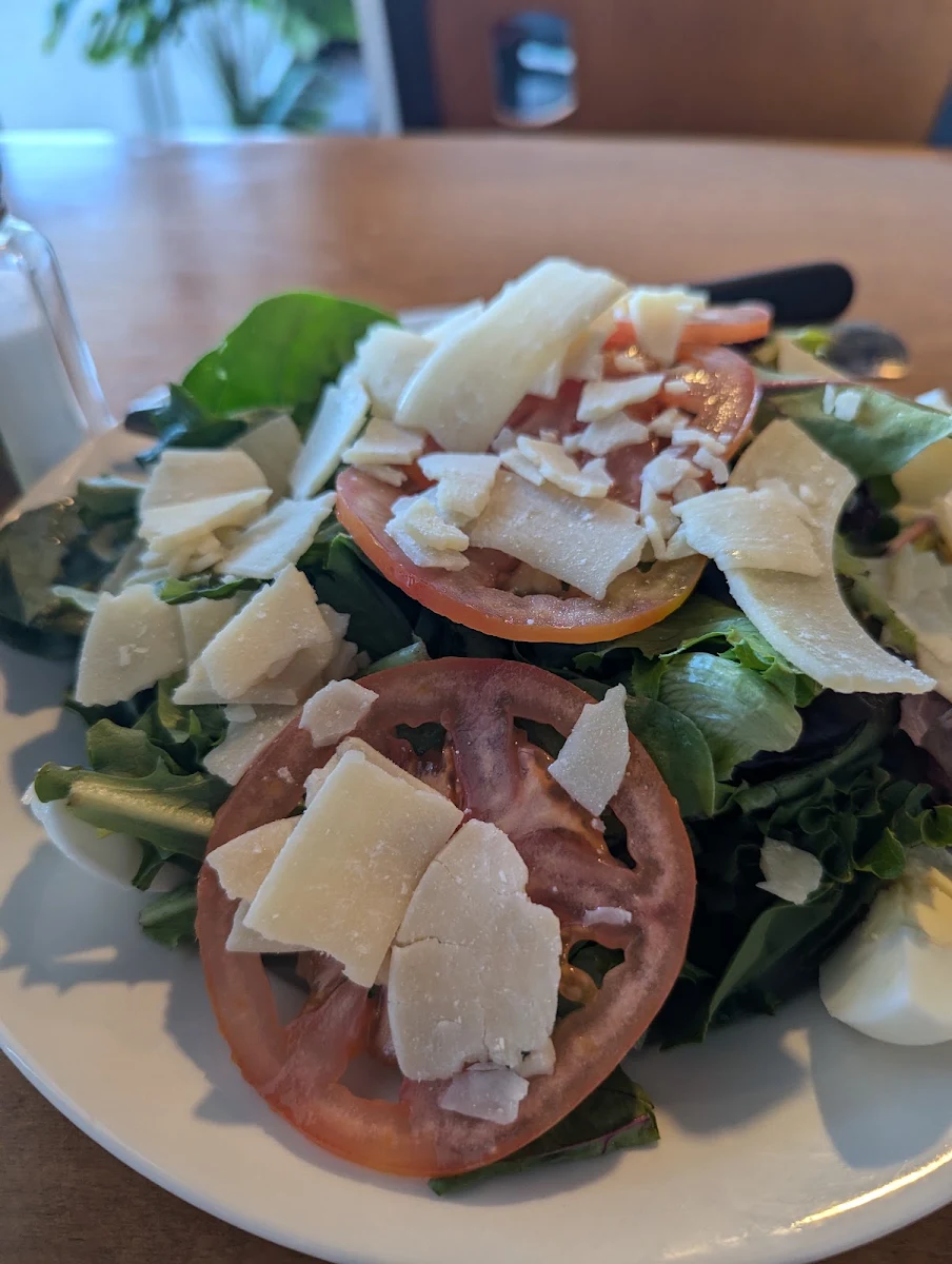 Salad