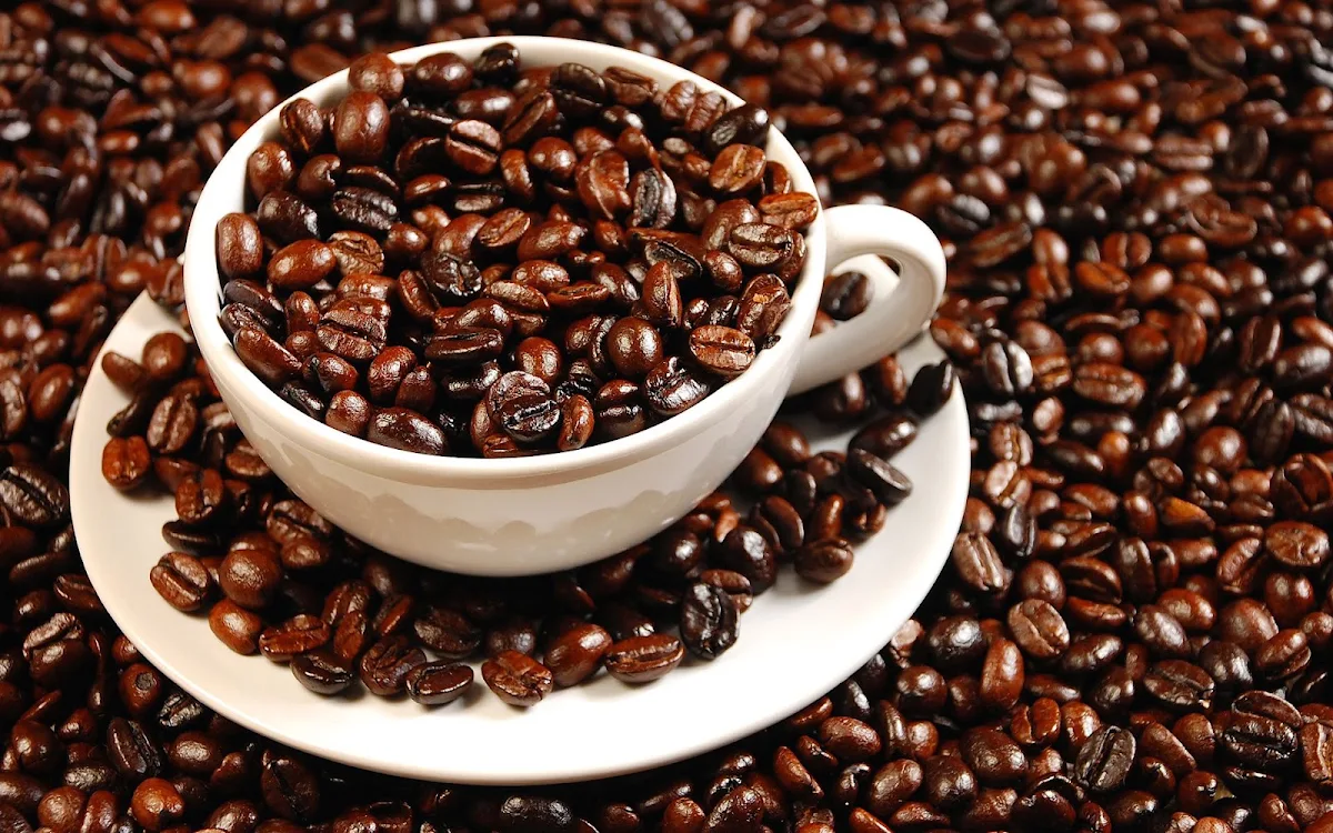 Light Roast