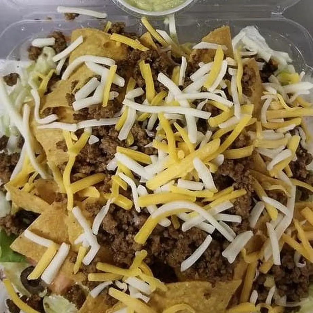 Carne Asada Fries