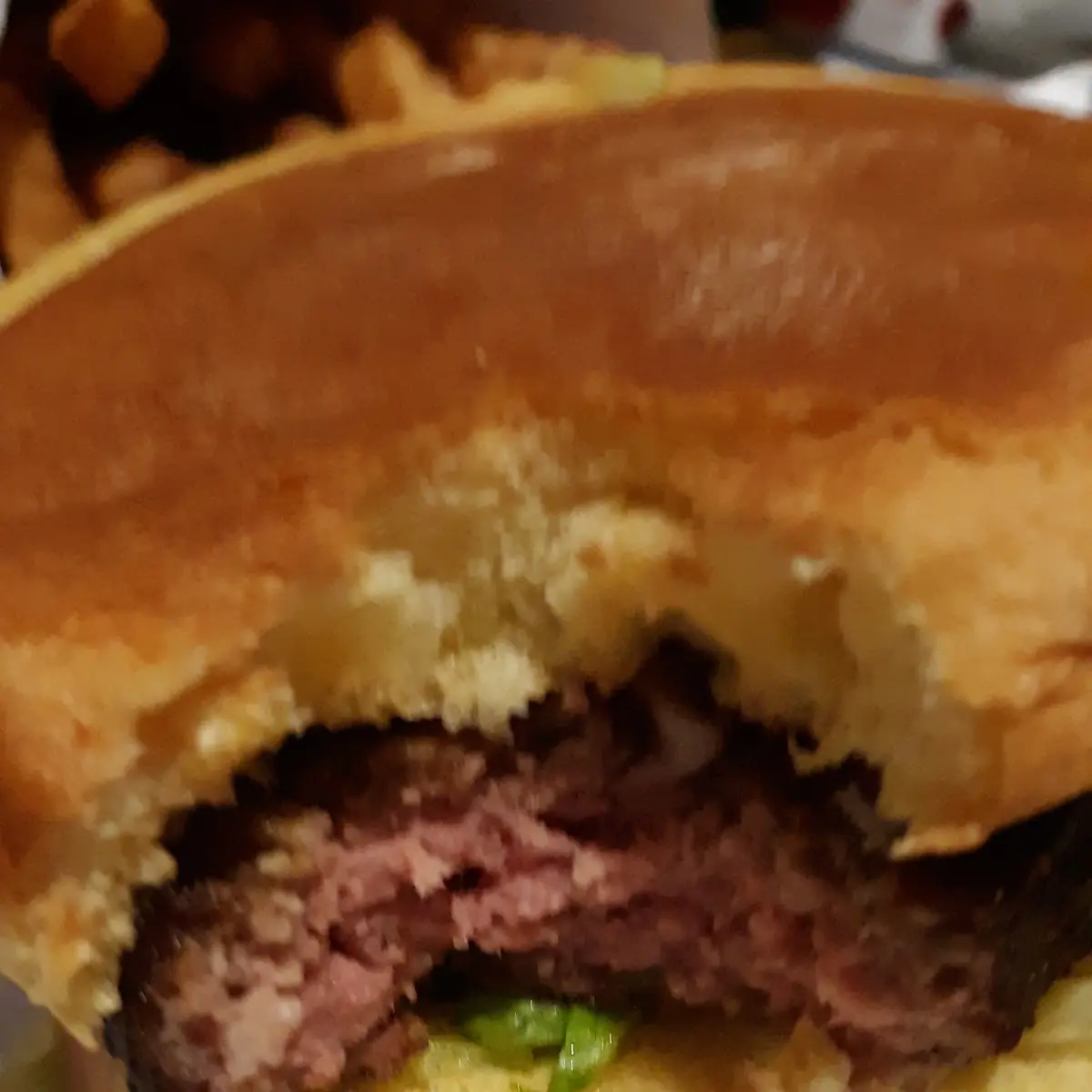 Wagyu Burger Combo