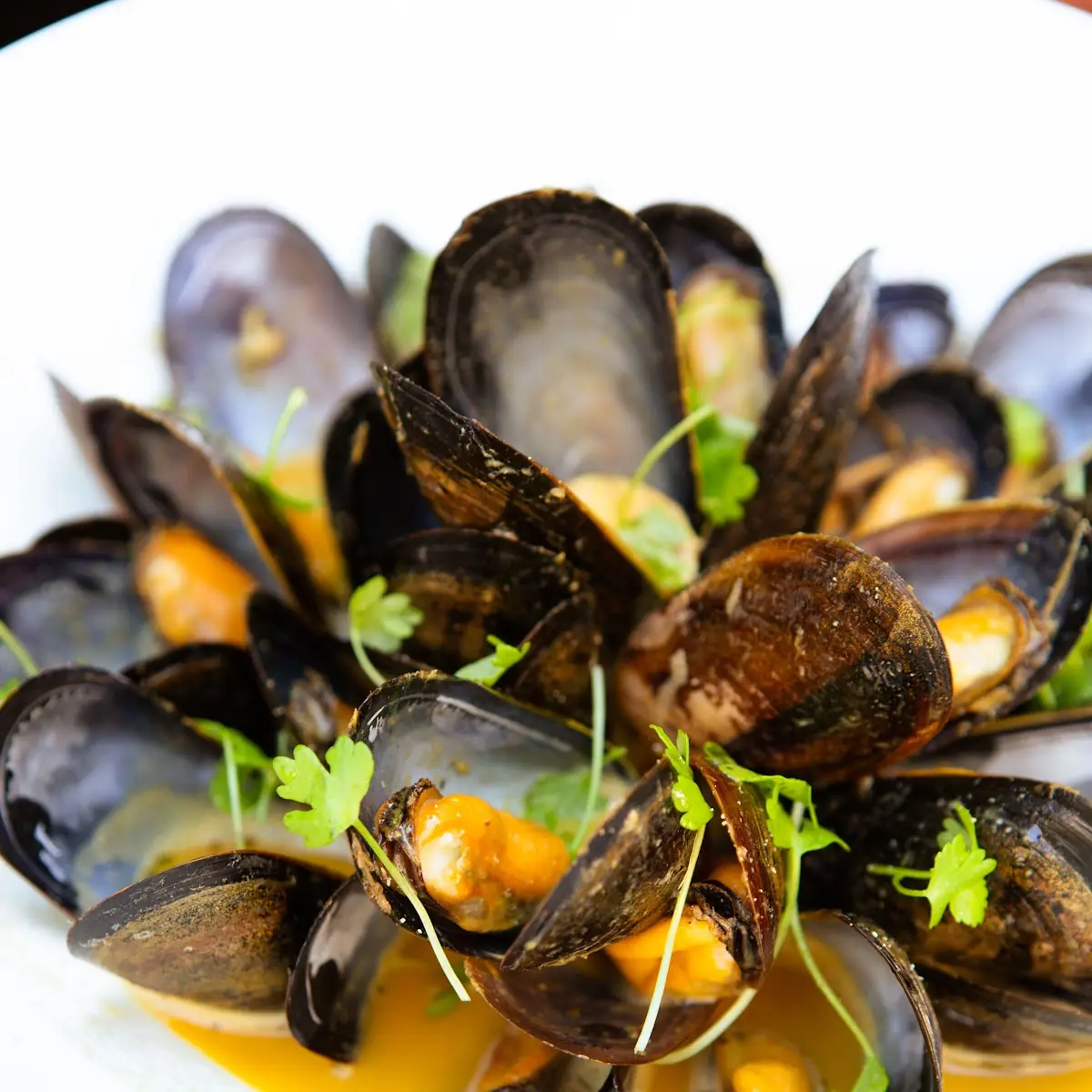 Steamed Mussels