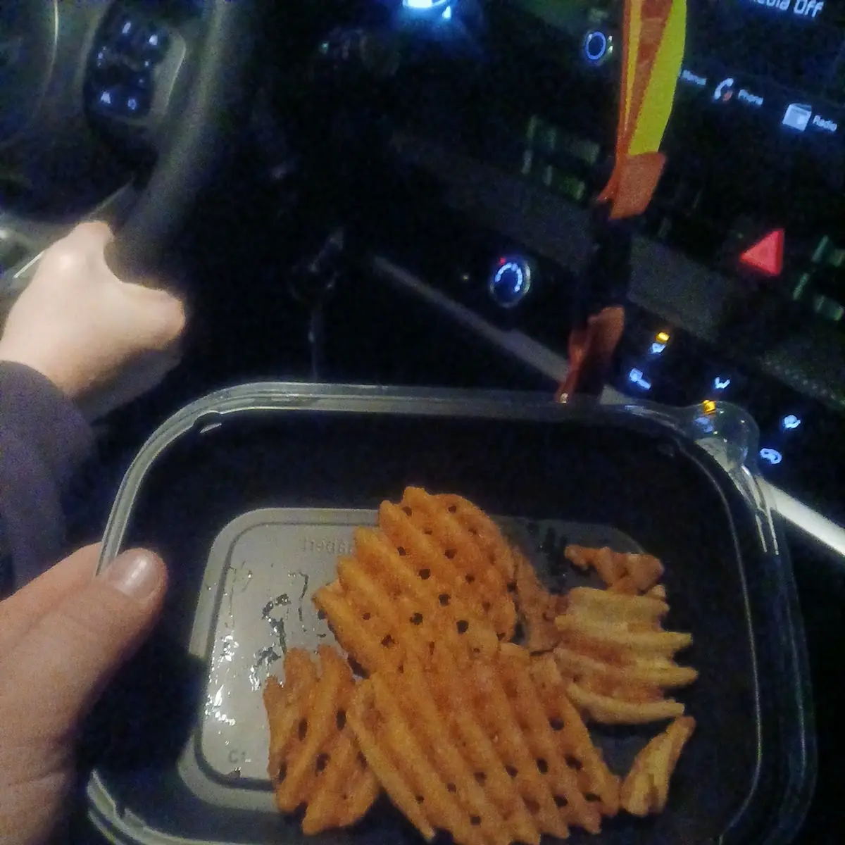 Waffle Fries