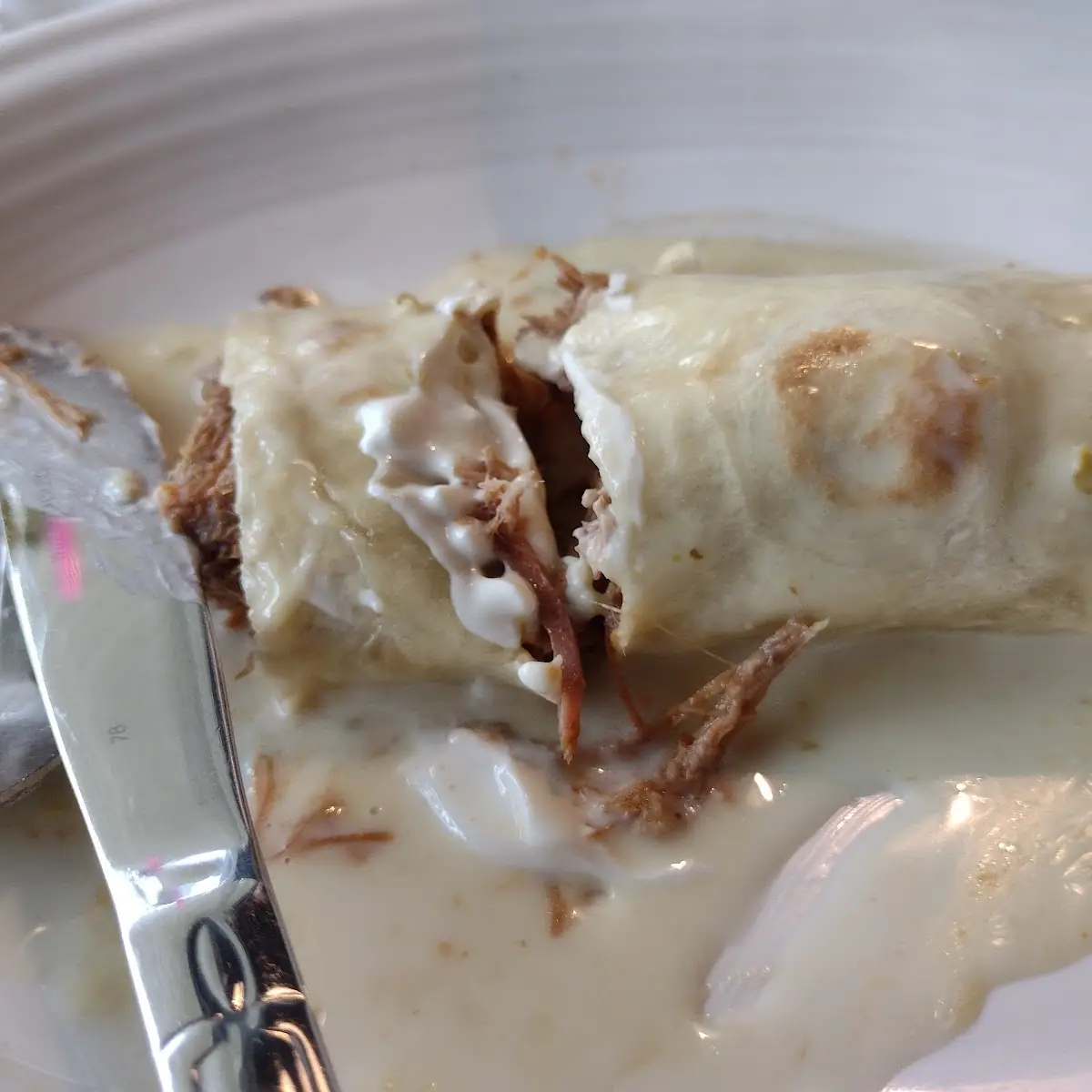 Shredded Beef Burrito Ordered with Only Cheese Sauce