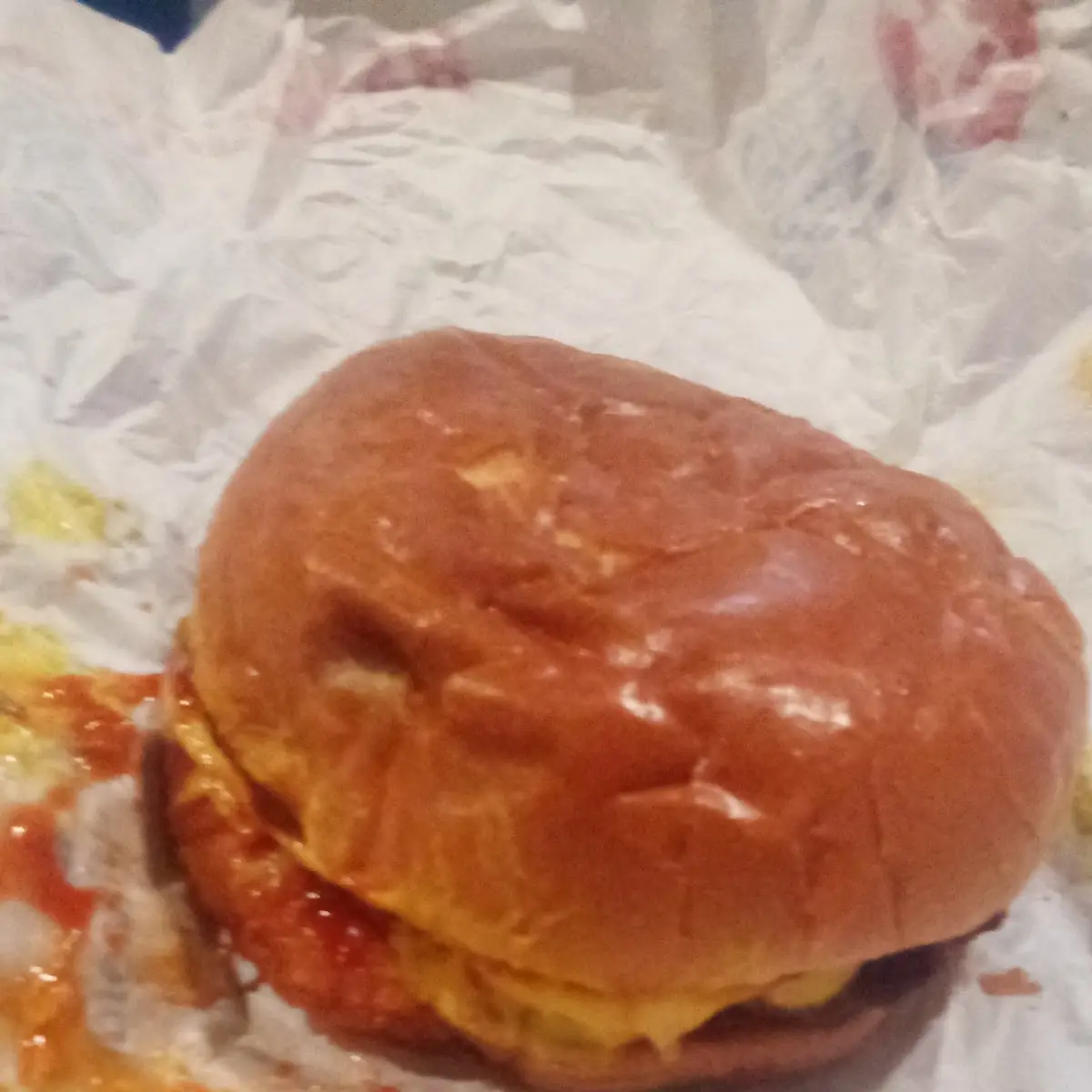 Double Cheeseburger
