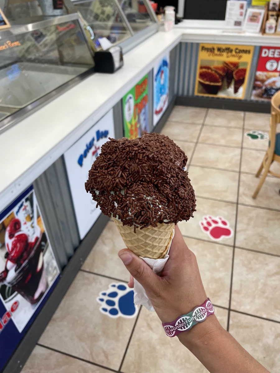 Mint Chocolate Chip with Chocolate Sprinkles