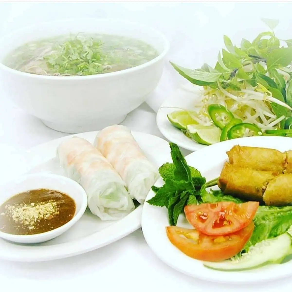 Pho Noodle Soup