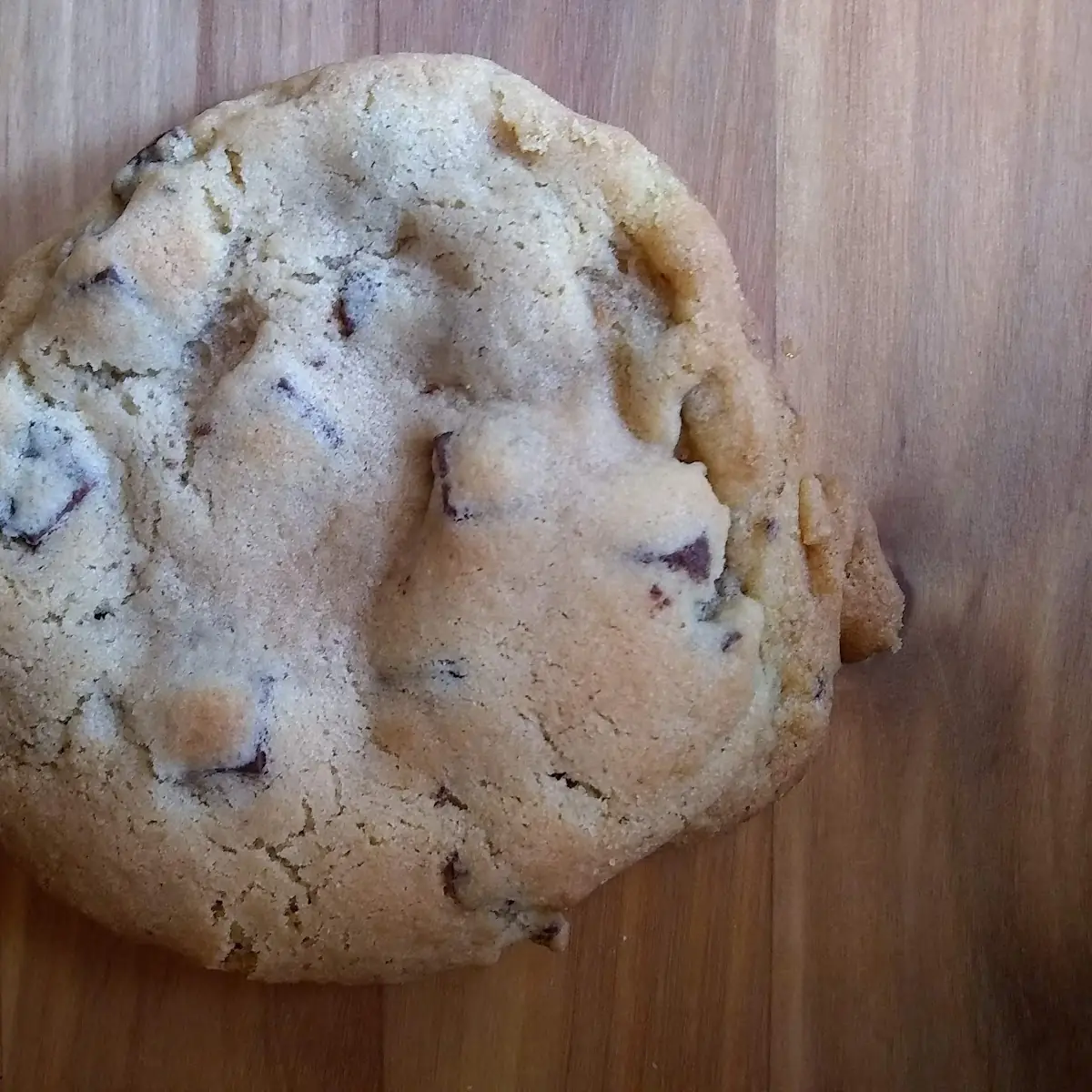 Chocolate Chip Cookie