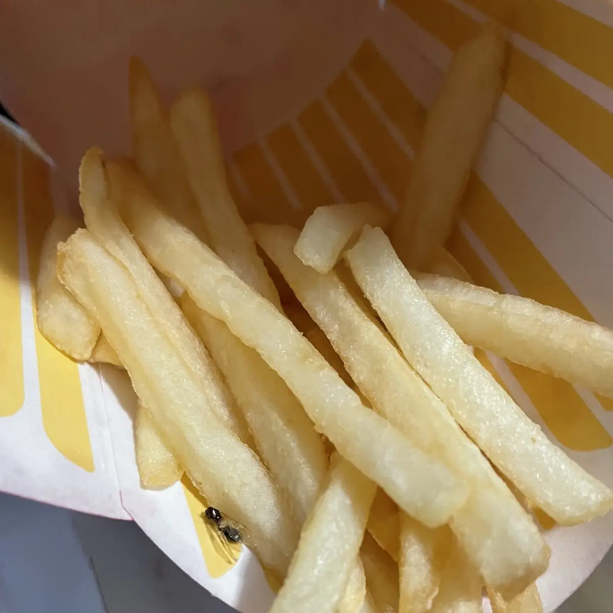 World Famous Fries