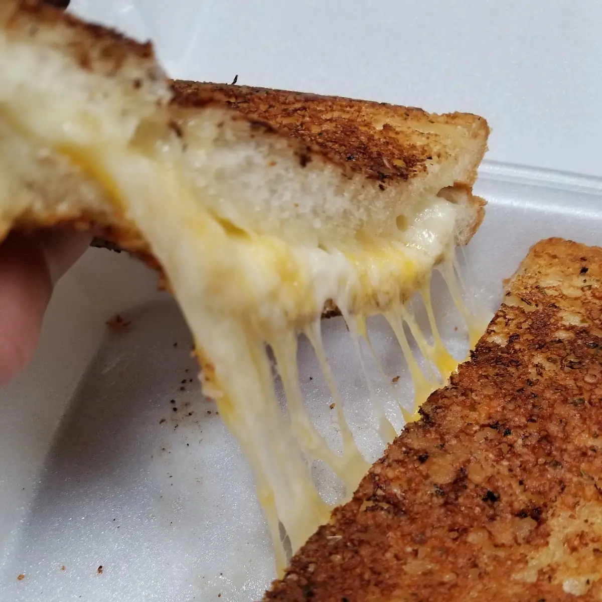 Grilled Cheese Sandwich