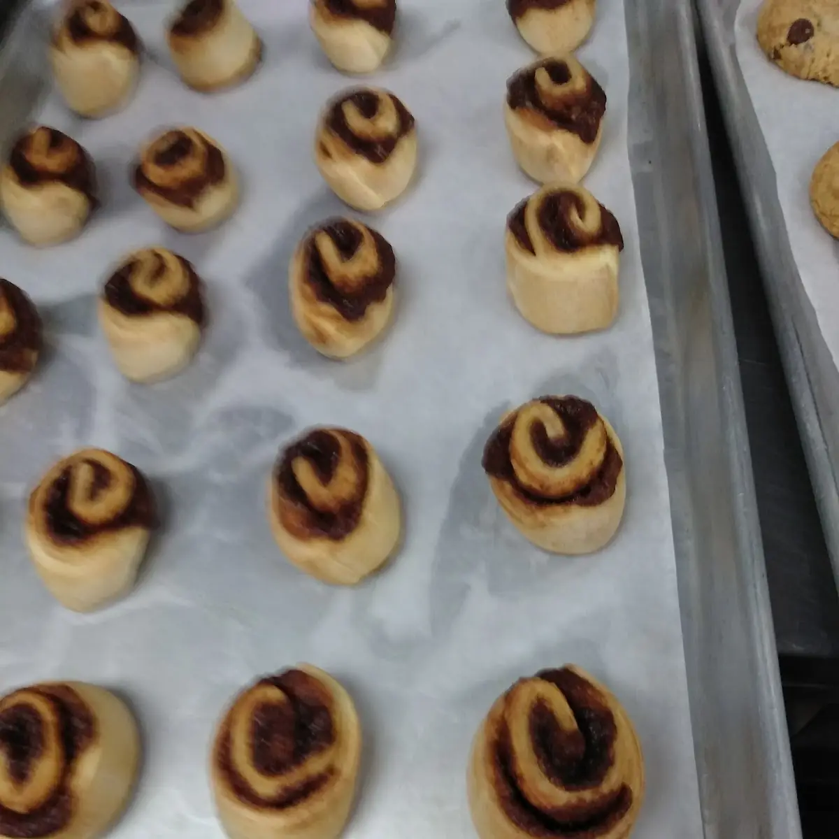 Cinnamon Rolls