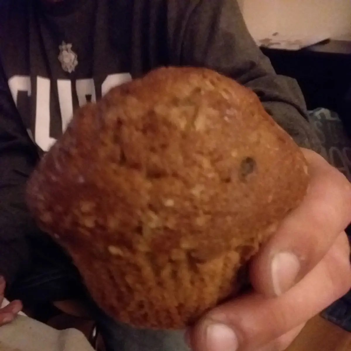 Chocolate Chip Muffin