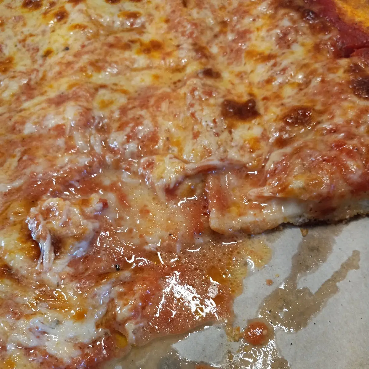 Plain Pizza