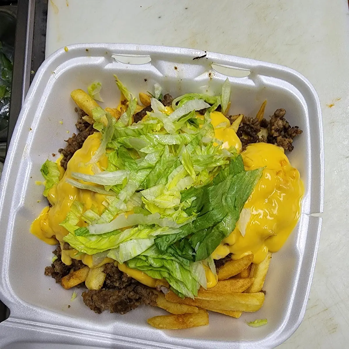 Carne Asada Fries