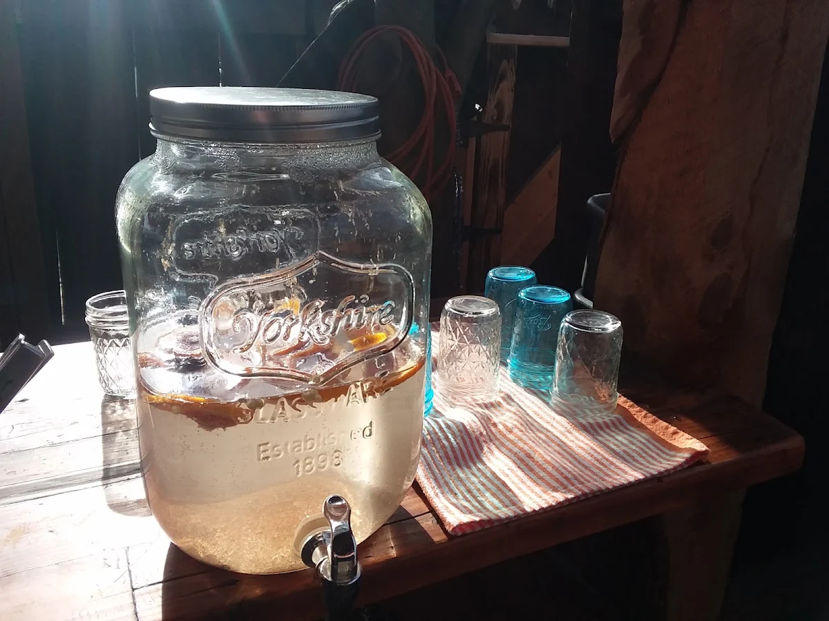 Cold Brew