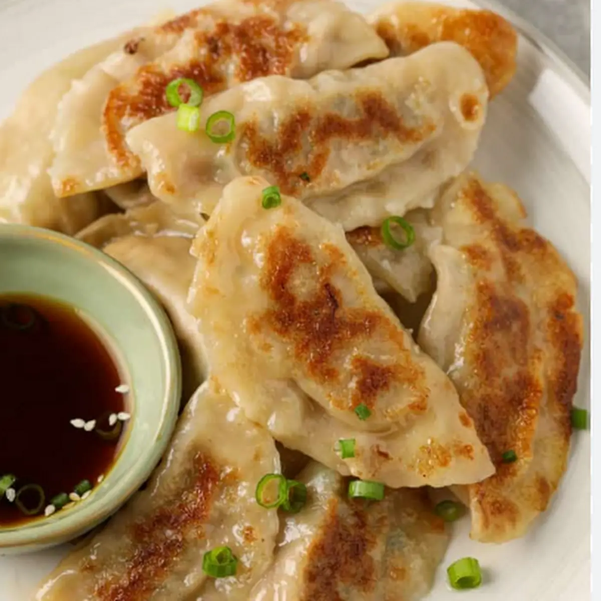 Meat Dumpling