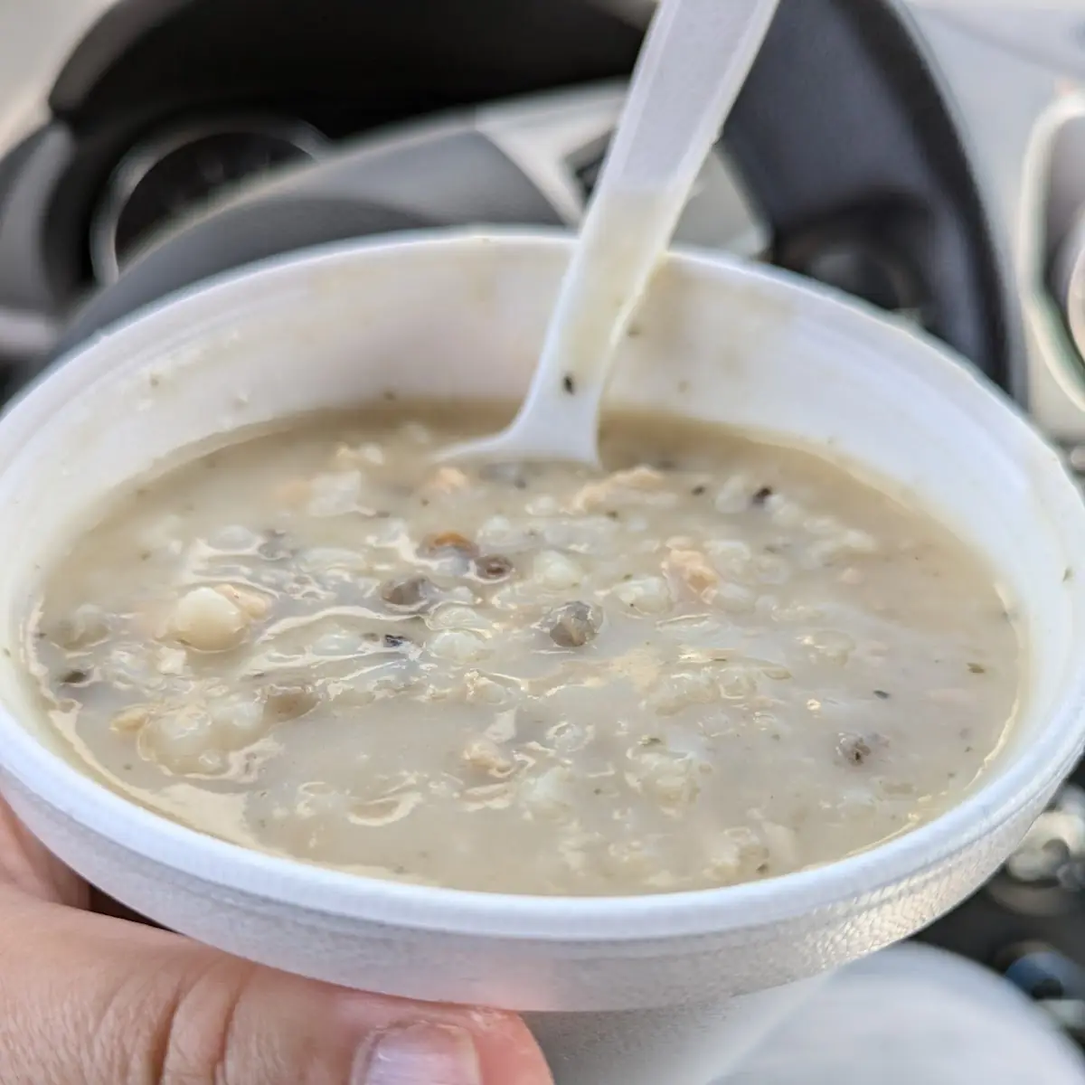 Cream of Chicken Soup
