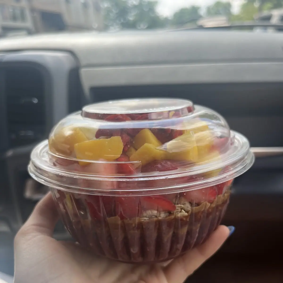 Fresh Fruit