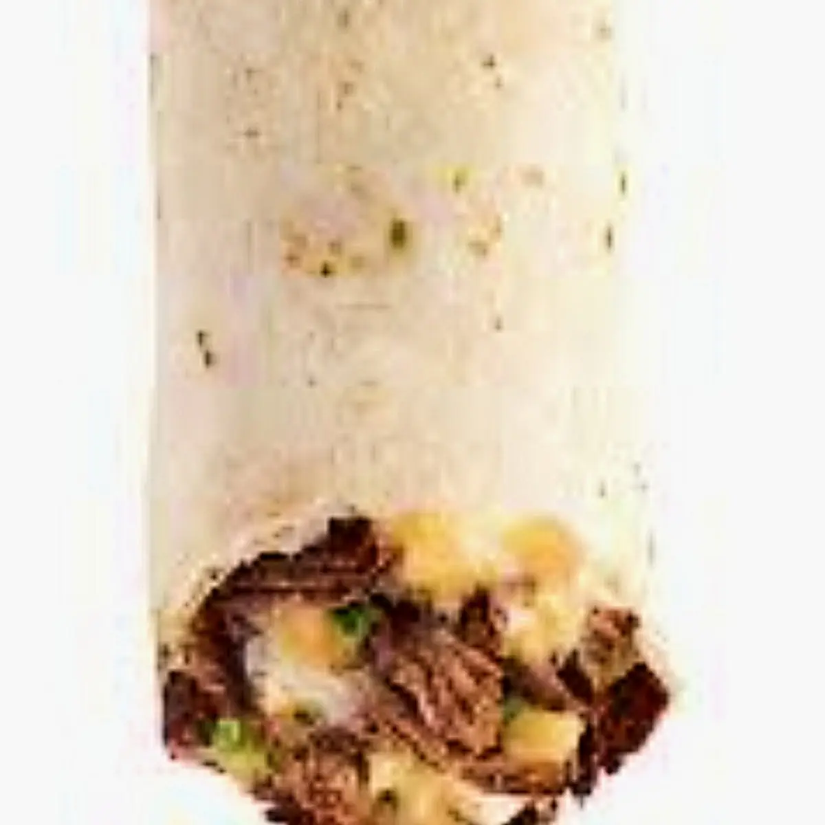 A Burrito with Shredded Beef