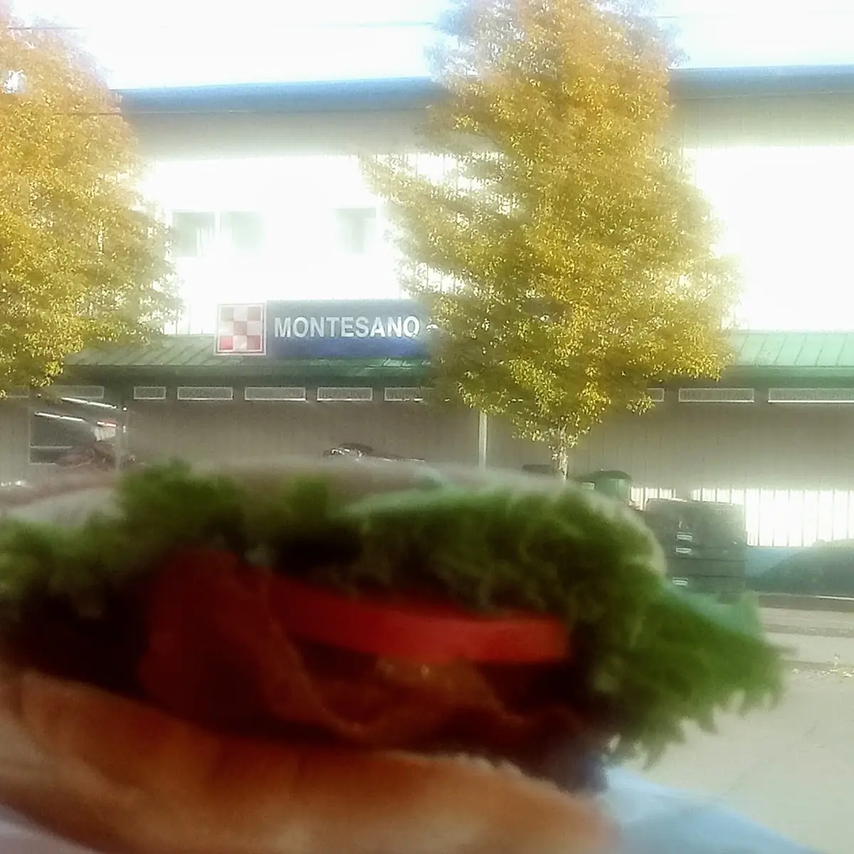 Bacon Double Cheeseburger