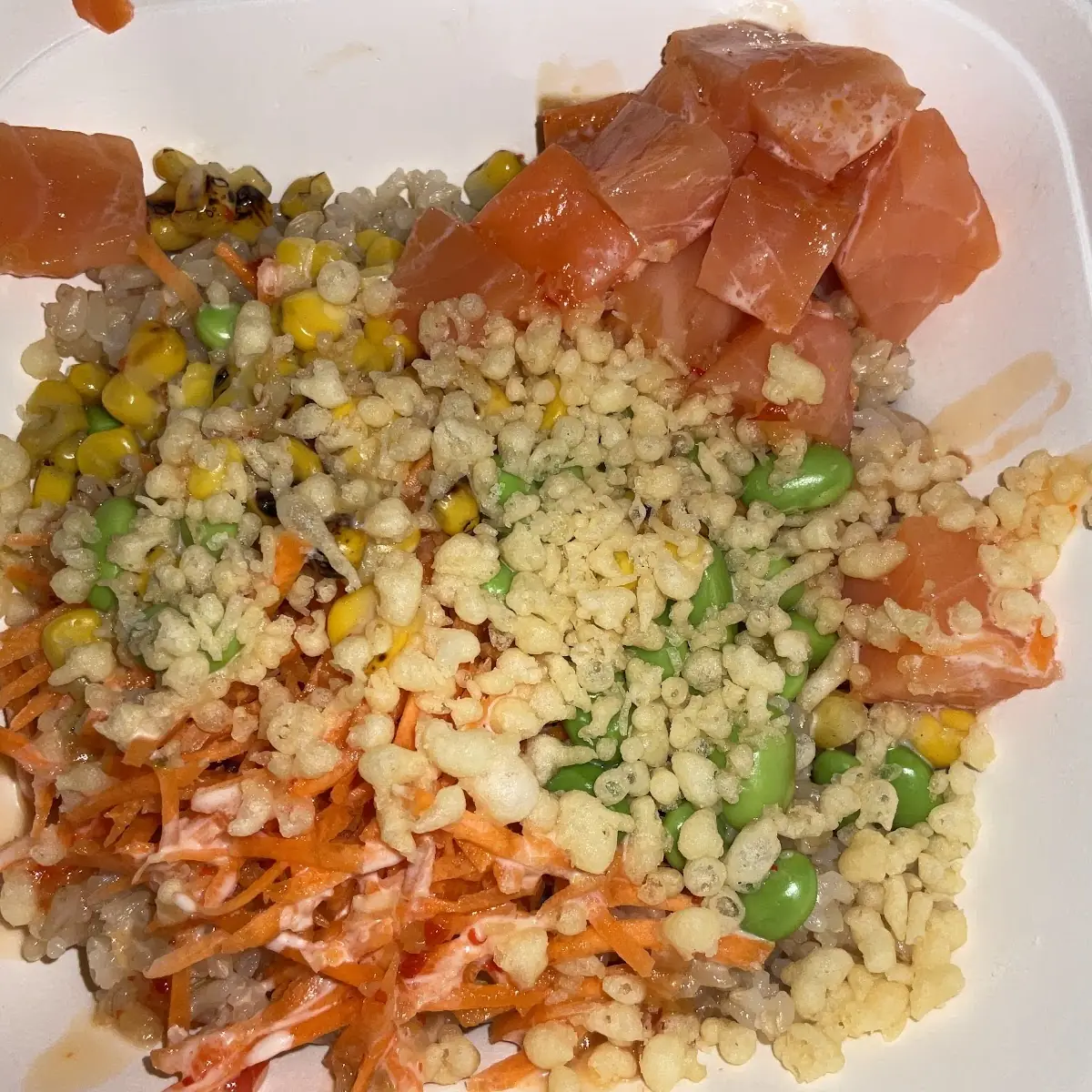 Salmon Brown Rice