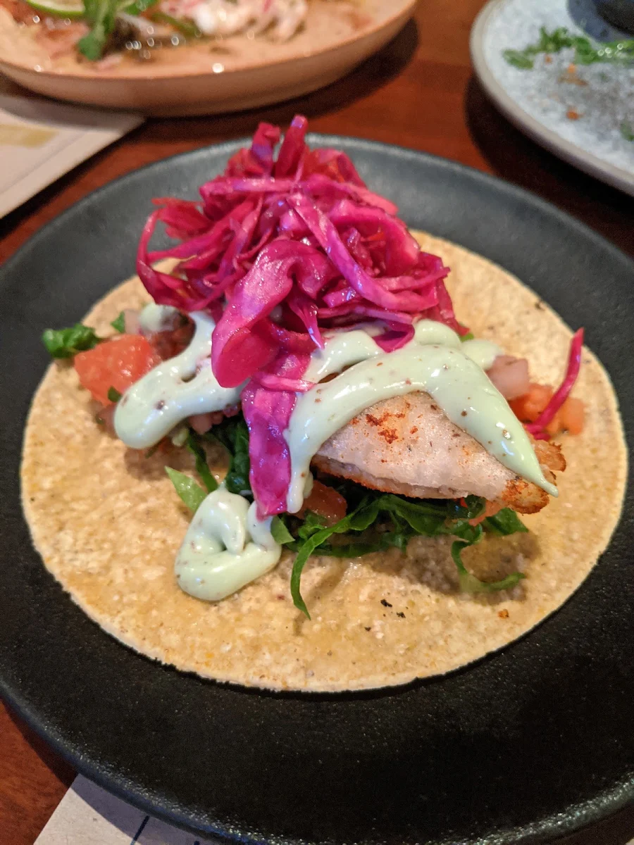 Fish Taco, Hotel Royal Torrensville