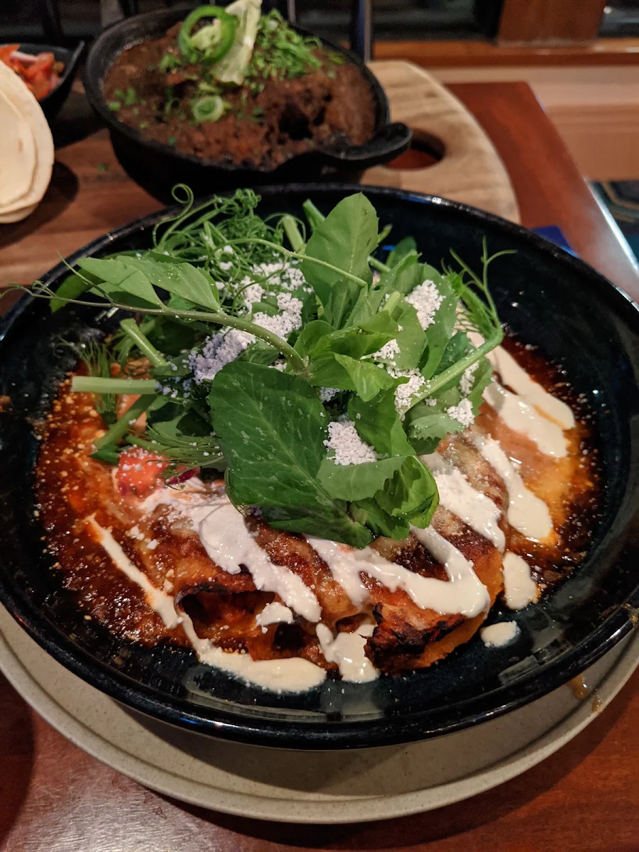 Roasted Cauliflower Enchiladas