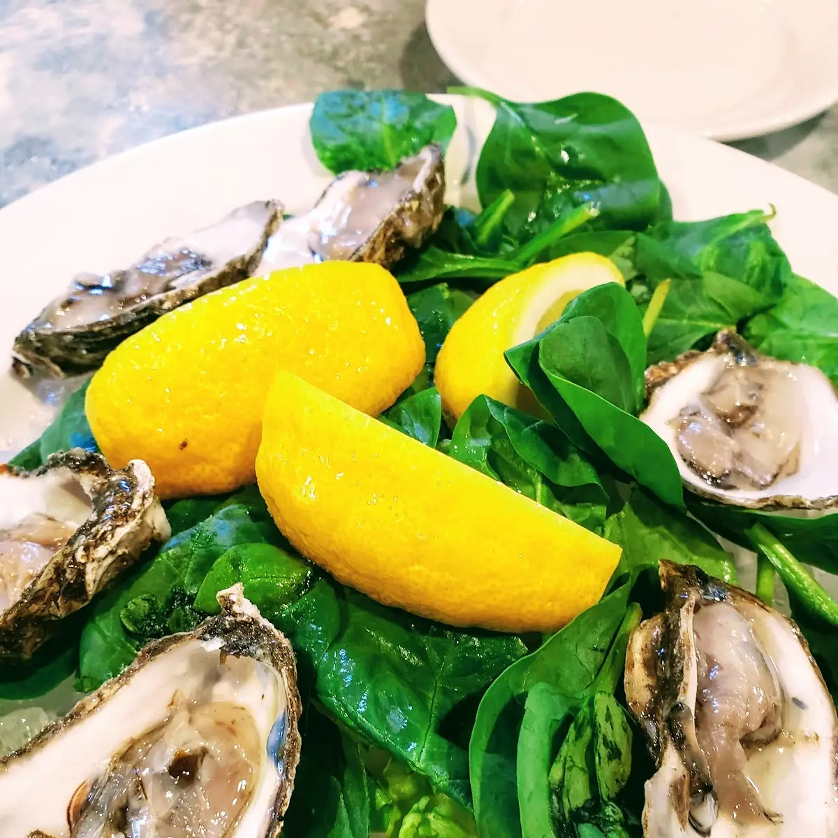 Oysters on the Half Shell