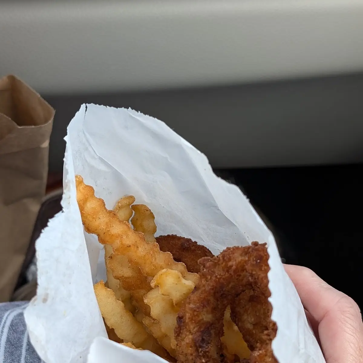 Onion Rings 8