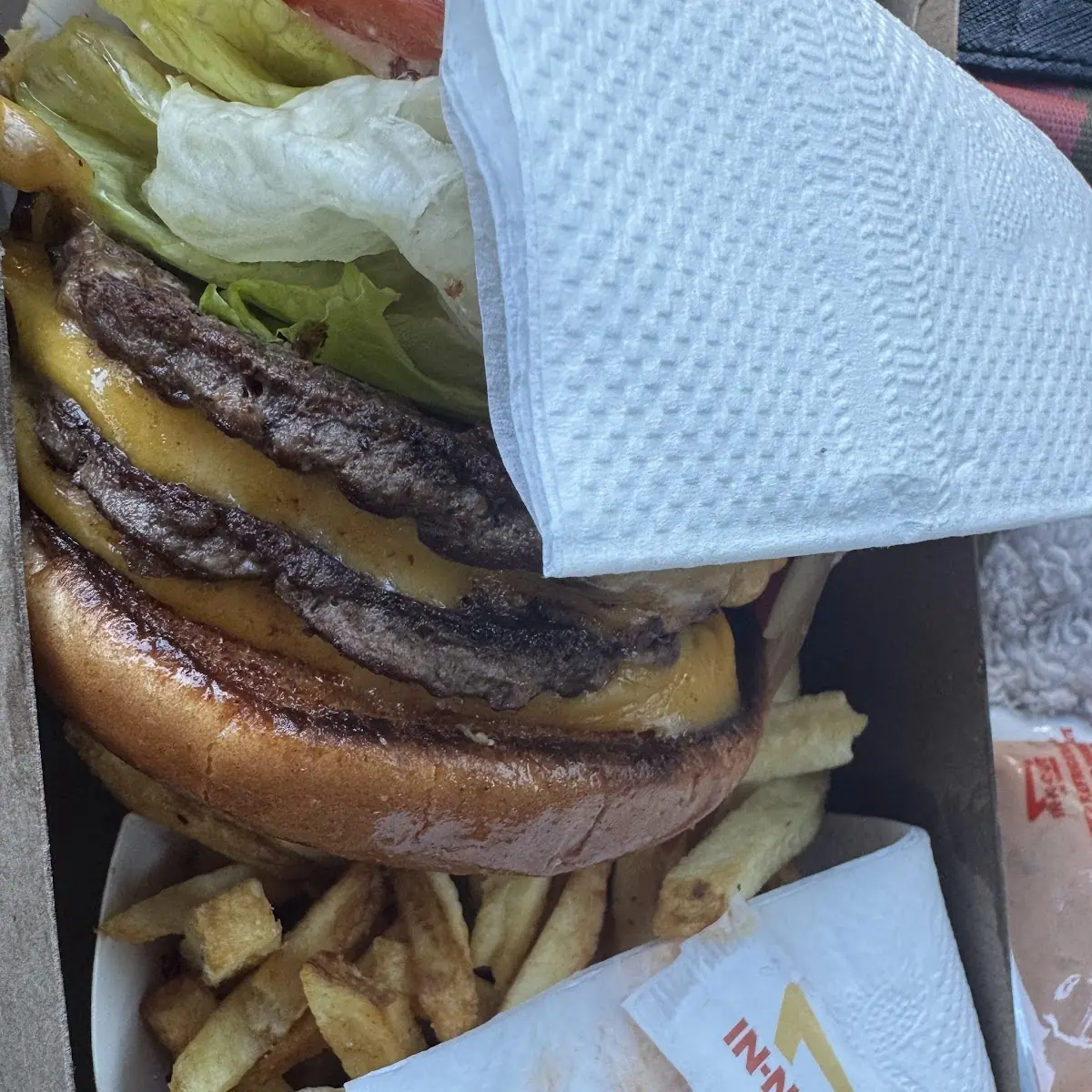 Double Cheeseburger with Fries