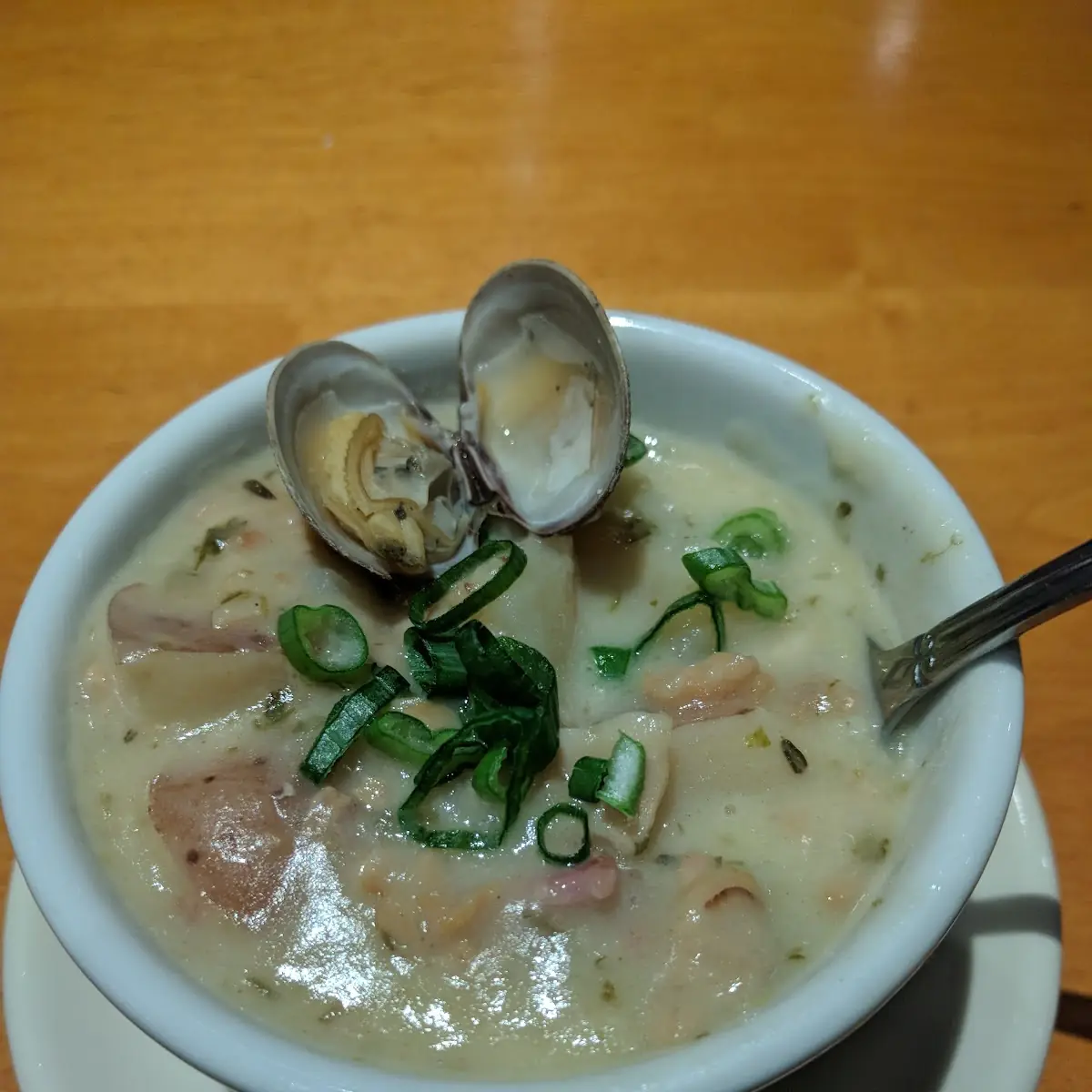 Regular Clam Chowder