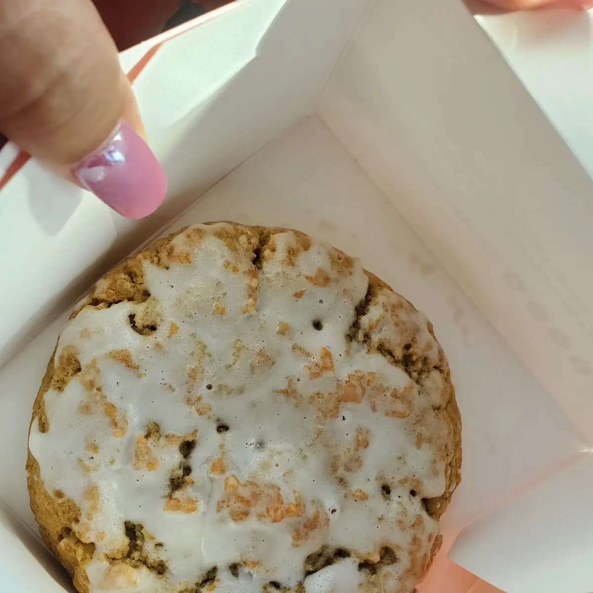 Oatmeal Cookie