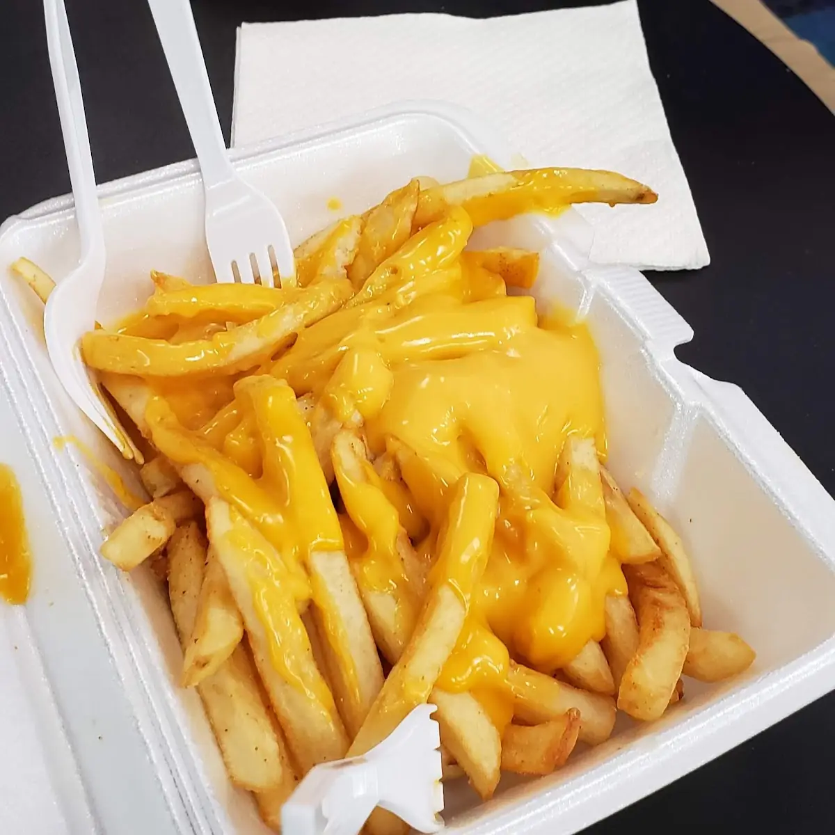 Cheese Fries with Cheese