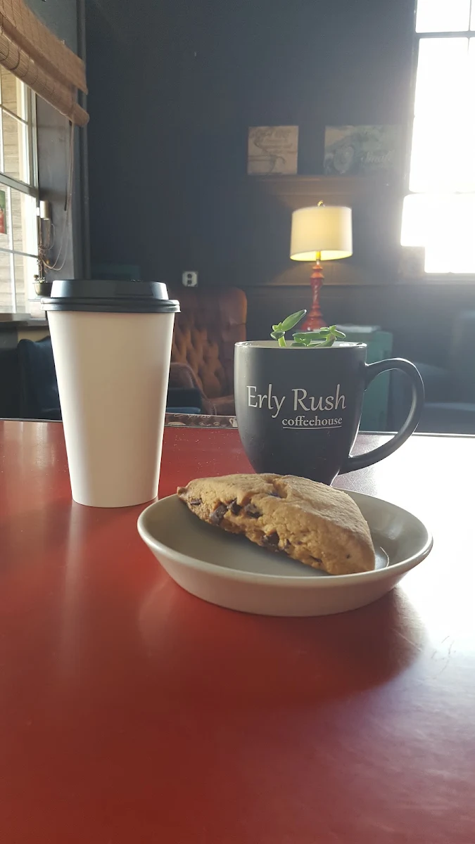 Mocha and Chocolate Chip Scone